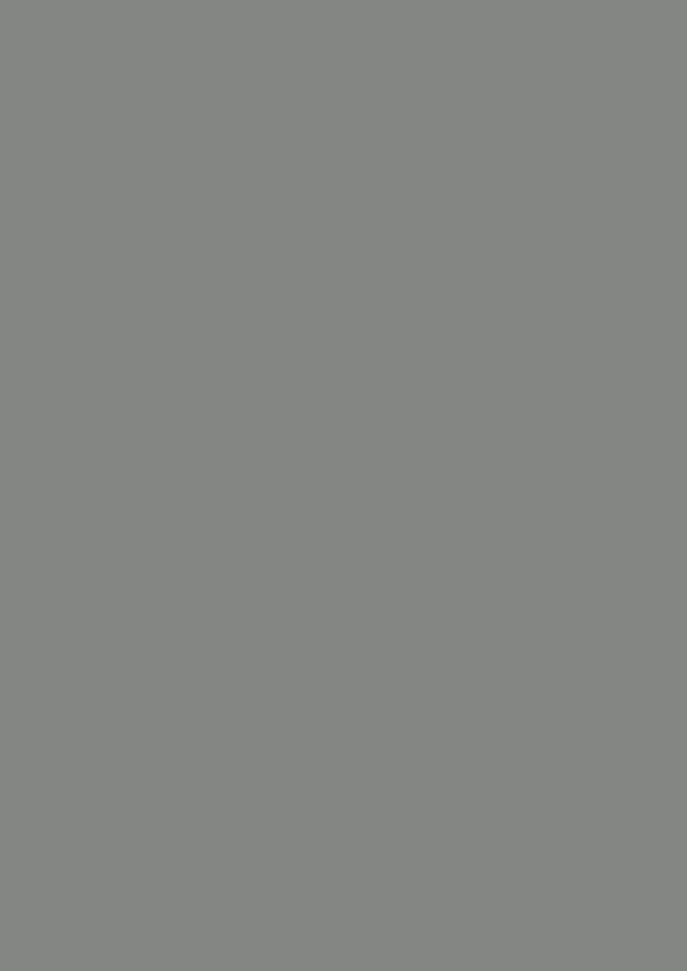Staubgrau – U 732 ST 9