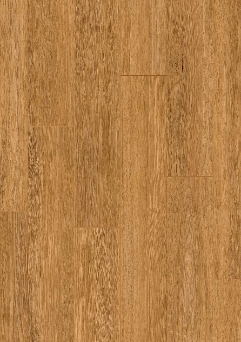 Basic LHD Eiche Legende – LCF 542