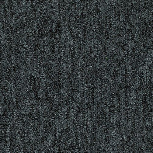 SUM 000200-503