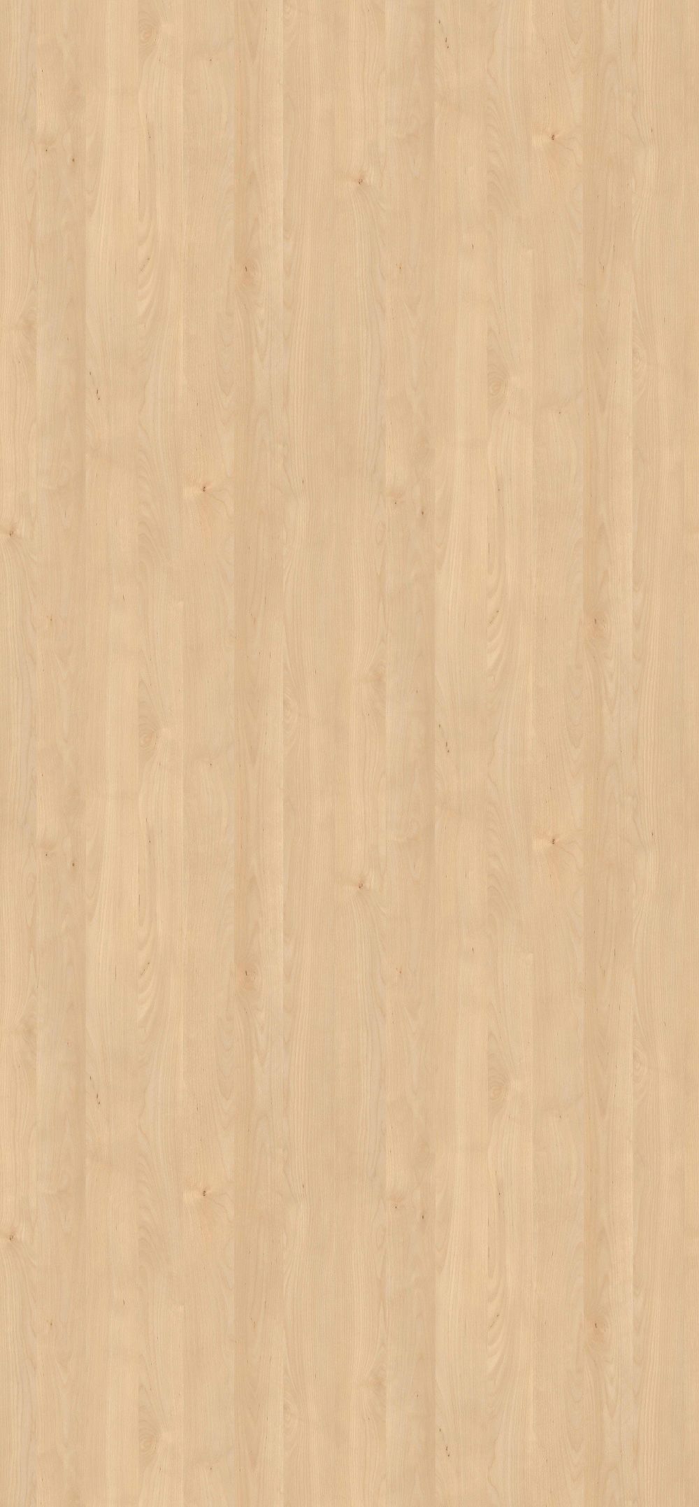 Mandal Ahorn – H 3840 ST 9