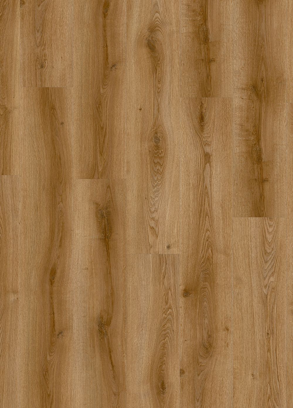 Orbit QS Sandhill Oak 24886