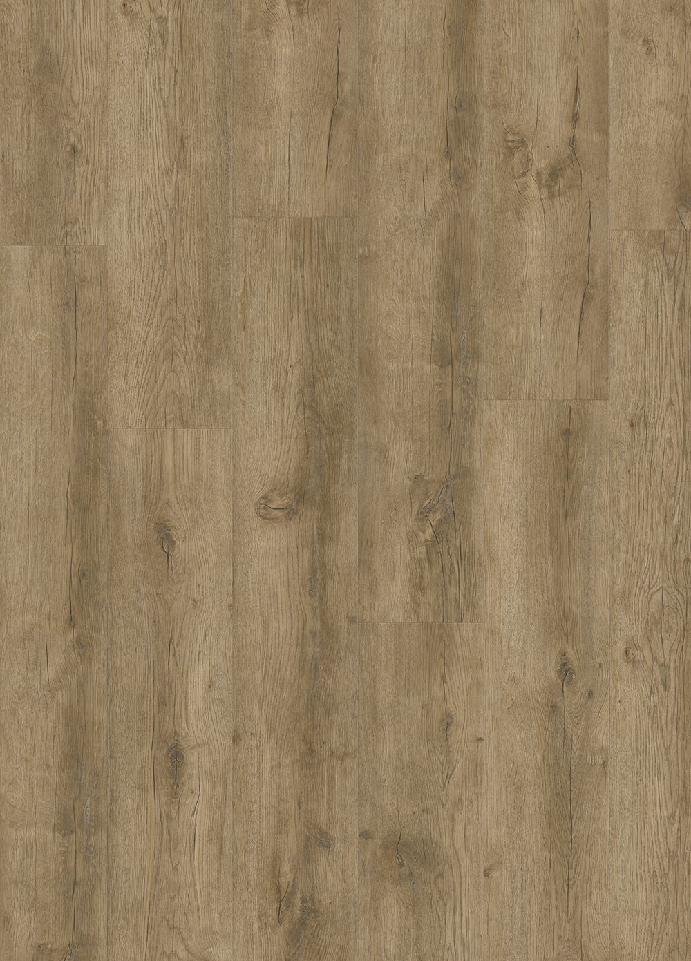 Orbit QS Major Oak 24863
