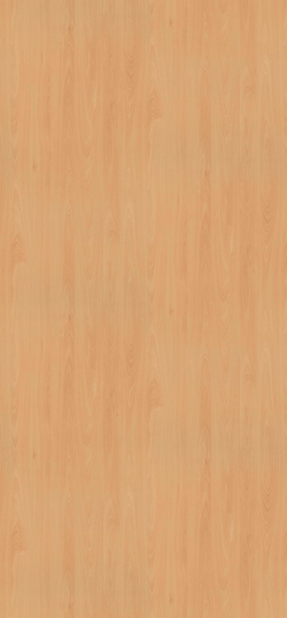 Ellmau Buche – H 1582 ST 15