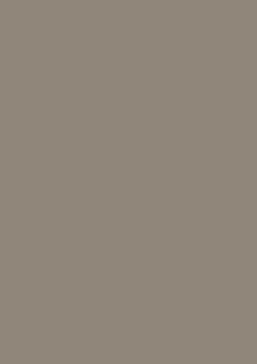 Taupe dunkel – U 740 ST 9