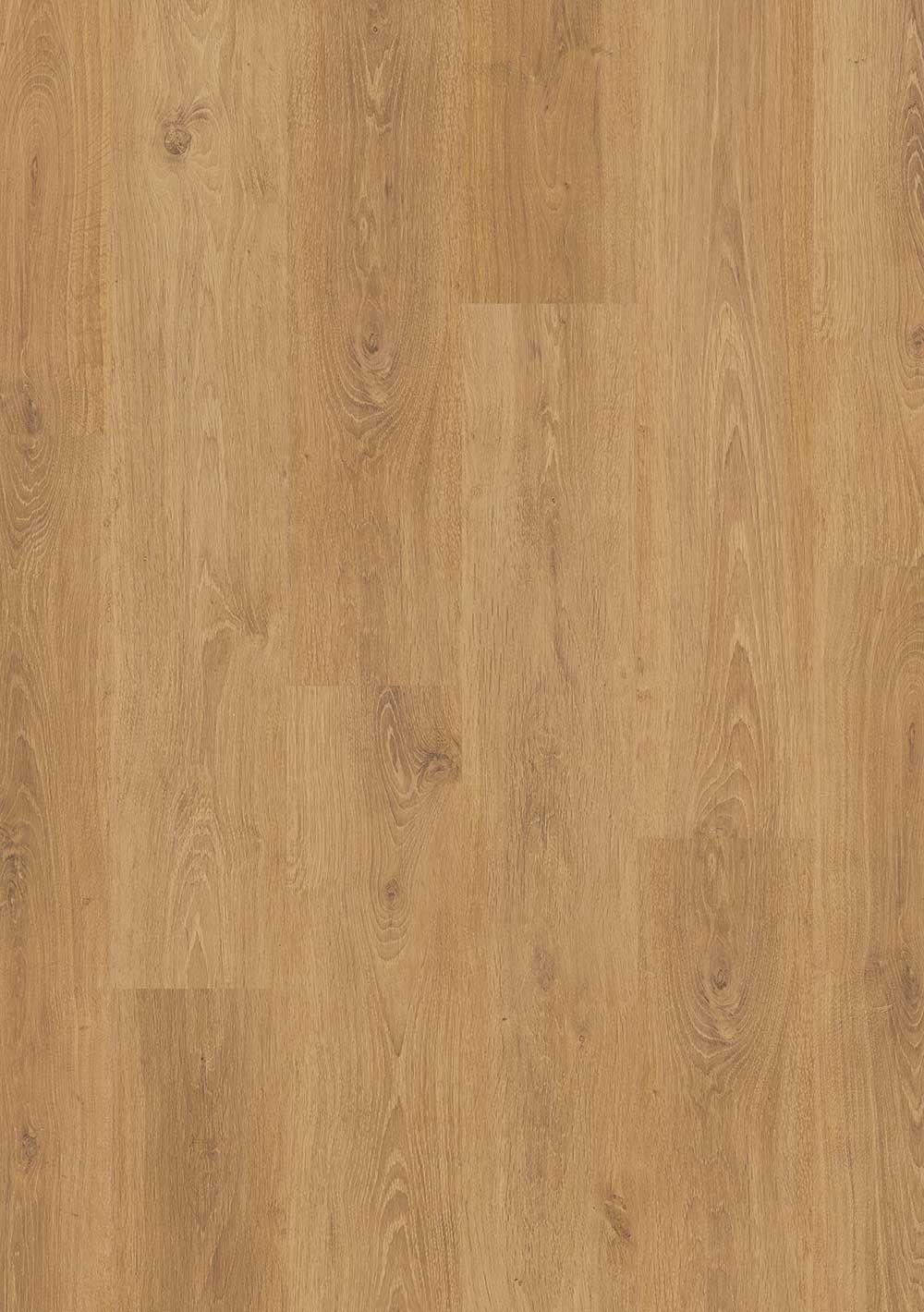 Basic LHD Eiche authentic – LCF 281