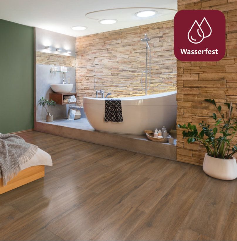 wasserfest disano