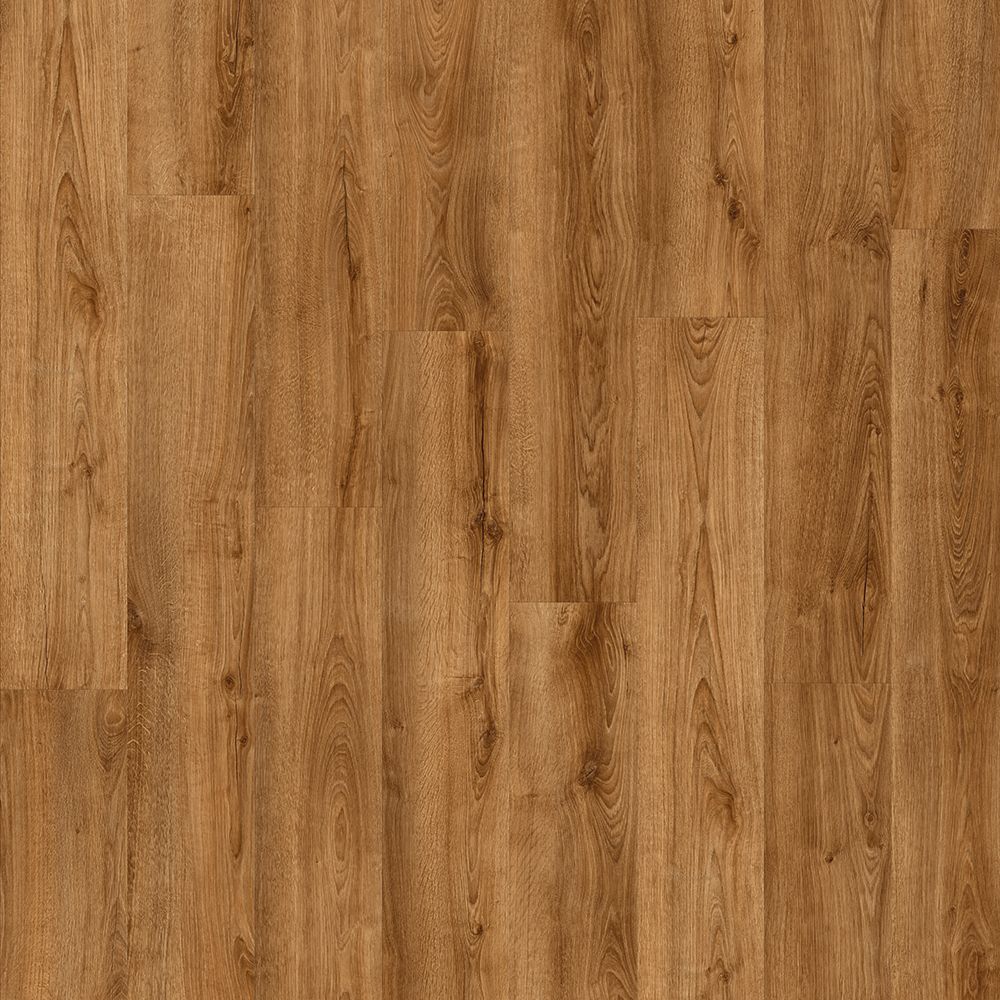 CLIC 853 C | GLUE 853